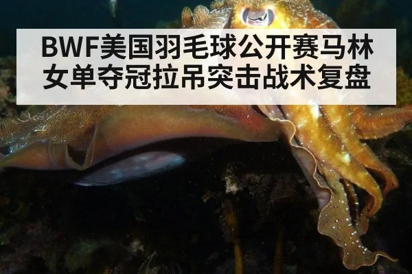 BWF美国羽毛球公开赛马林女单夺冠拉吊突击战术复盘（jiuyouhui）