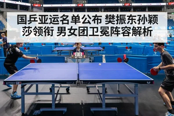 table tennis competition