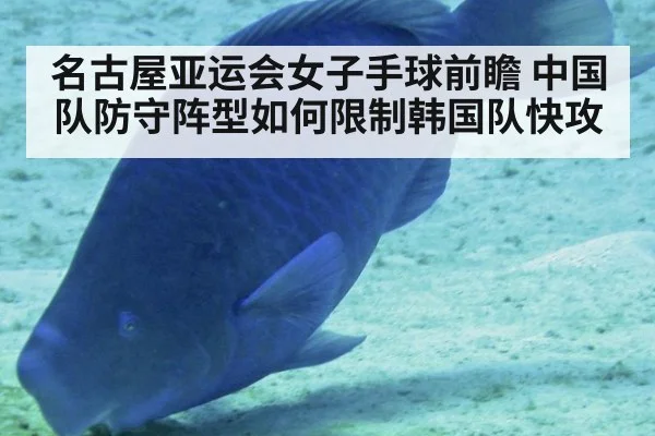 名古屋亚运会女子手球前瞻 中国队防守阵型如何限制韩国队快攻 | jiuyouhui